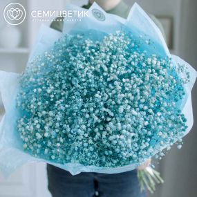 Букет из 15 голубых гипсофил