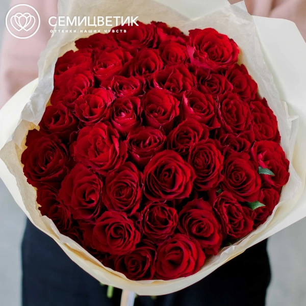 Букет из 41 красной розы 35-40 см (Кения) в кремовой пленке