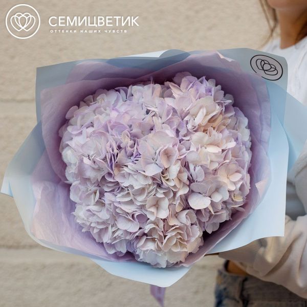 Букет из 3 сиреневых гортензий