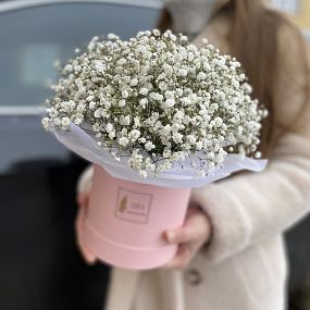 Коробочка с гипсофилой