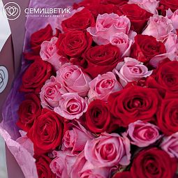 Букет из 101 красной и розовой розы 40 см (Россия)