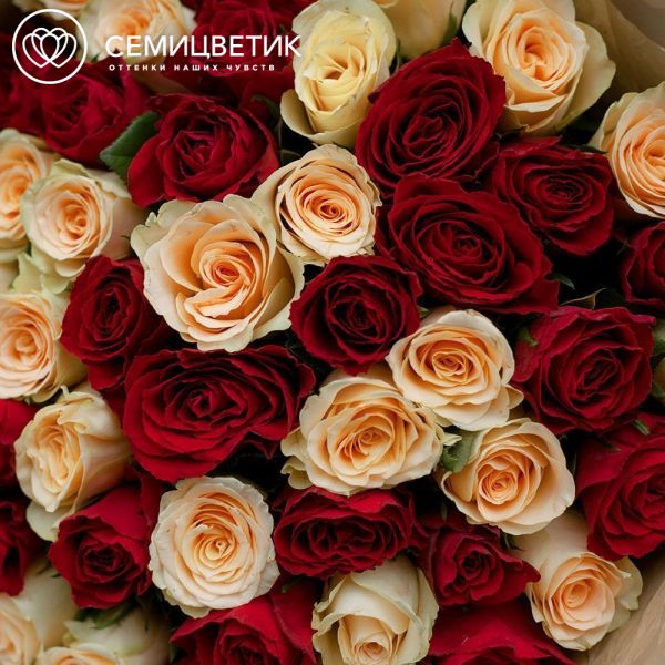 Букет из 51 красной и кремовой розы 40 см (Кения)
