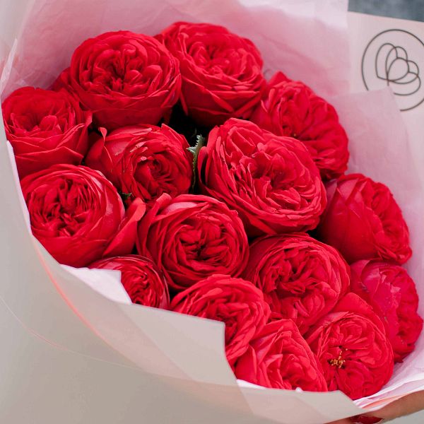 15 красных одноголовых пионовидных роз Red Piano 40 см