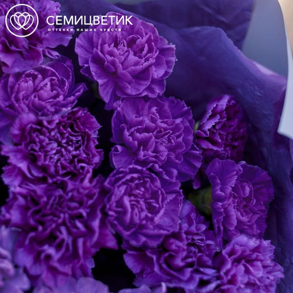 Букет из 15 фиолетовых гвоздик