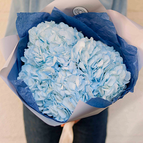Букет из 3 голубых гортензий в белой пленке