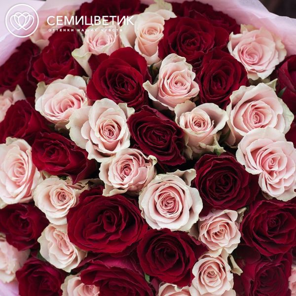 Букет из 51 красной и нежно-розовой розы 30 см (Кения) 