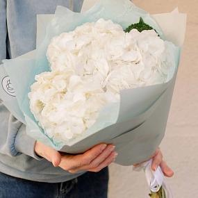 Букет из 3 белых гортензий в белой пленке