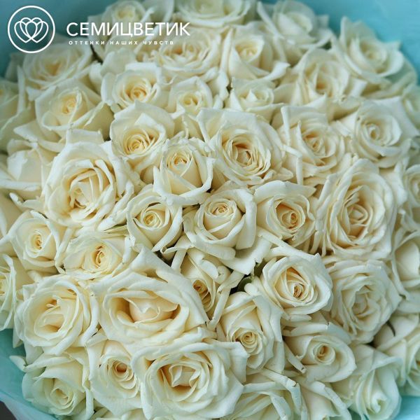 Букет из 51 белой розы 40 см (Россия)