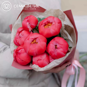 Букет из 7 коралловых пионов Coral Sunset Premium в розовой пленке