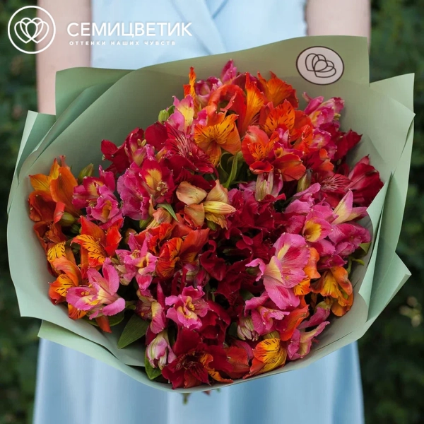Букет из 25 красных, оранжевых и малиновых альстромерий в зеленой пленке