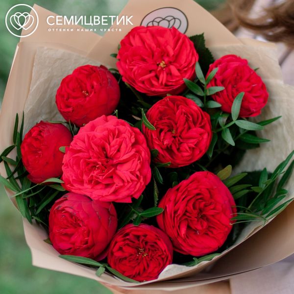 Букет из 9 красных одноголовых пионовидных роз Red Piano 40 см с фисташкой