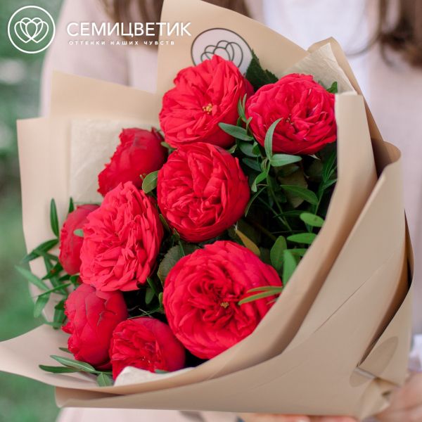 Букет из 9 красных одноголовых пионовидных роз Red Piano 40 см с фисташкой