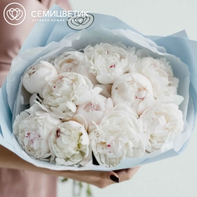 Букет из 11 нежно-розовых пионов Standart Plus в голубой пленке