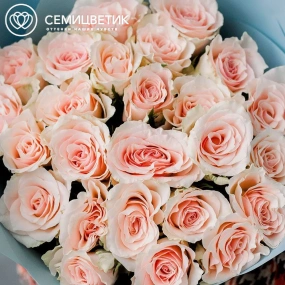 Букет из 25 нежно-розовых роз 35-40 см (Кения)