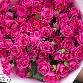 Букет из 21 малиновой кустовой розы 40 см (Кения) в розовой пленке
