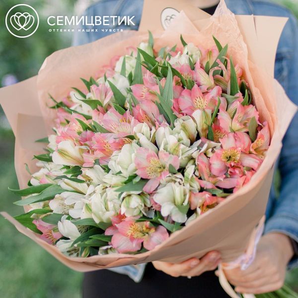 Букет из 35 белых и розовых альстромерий