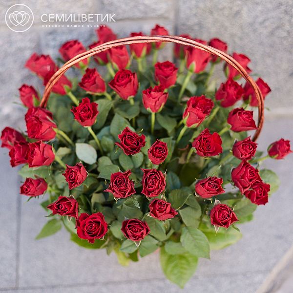 51 красная роза (Кения) Standart с зеленью в корзине