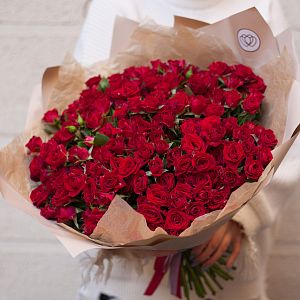 Букет из 51 красной кустовой розы 40 см (Кения)