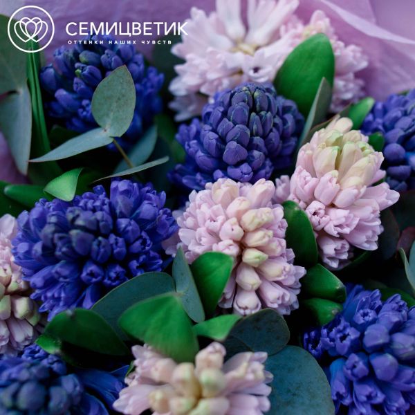 Букет из гиацинтов с зеленью