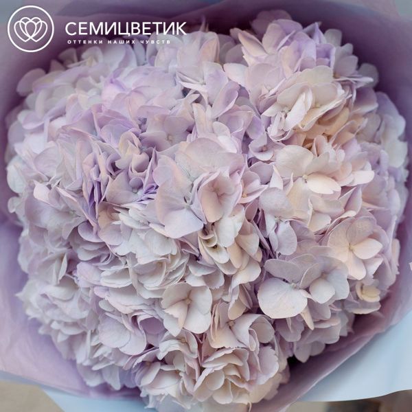 Букет из 3 сиреневых гортензий