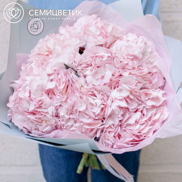 Букет из 7 розовых гортензий