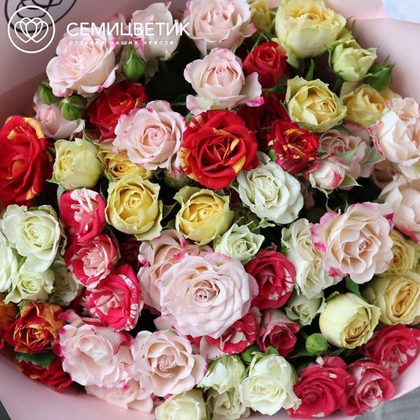 Букет из 15 кустовых роз 40 см микс (Кения) в розовой пленке