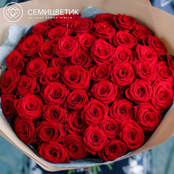 Букет из 51 красной розы 35-40 см (Россия)