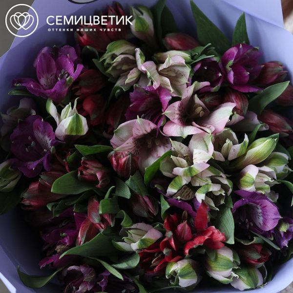 Букет из 15 альстромерий яркий микс в сиреневой пленке