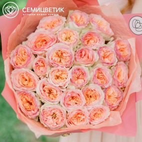 Букет из 25 персиковых пионовидных роз Flash Back 40 см в розовой пленке