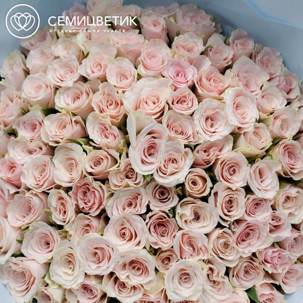Букет из 101 нежно-розовой розы 30 см (Кения)