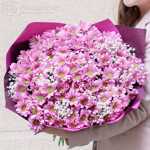 Букет из 25 розовых кустовых хризантем с гипсофилой