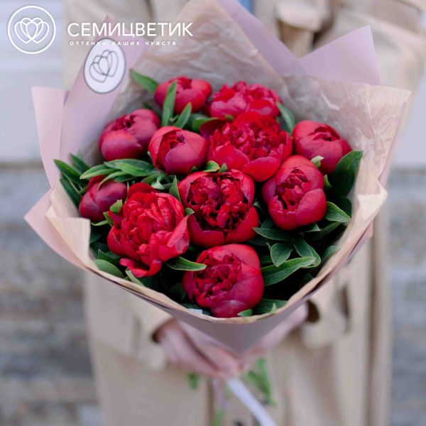 Букет из 11 бордовых пионов Standart