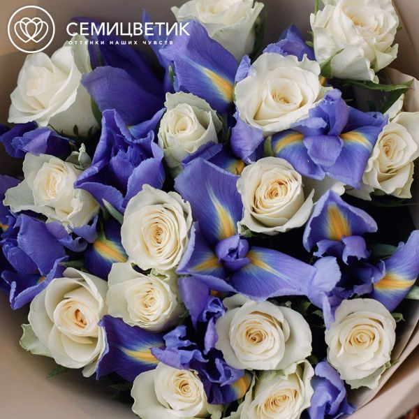 Букет из 10 белых роз (Кения) и 15 синих ирисов