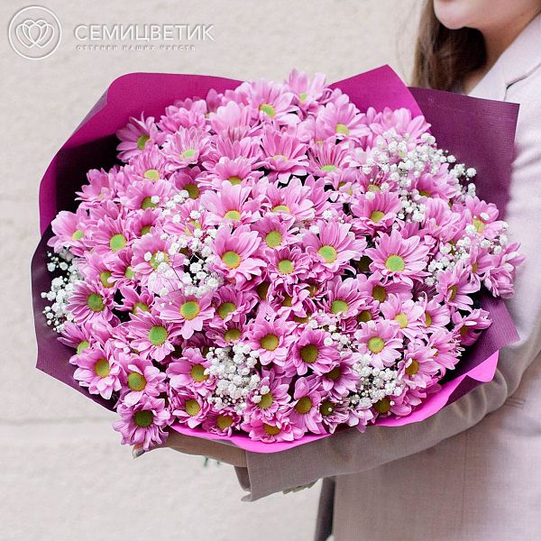 Букет из 25 розовых кустовых хризантем с гипсофилой