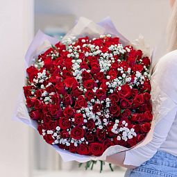 Букет из 101 красной розы 40 см (Кения) с белой гипсофилой