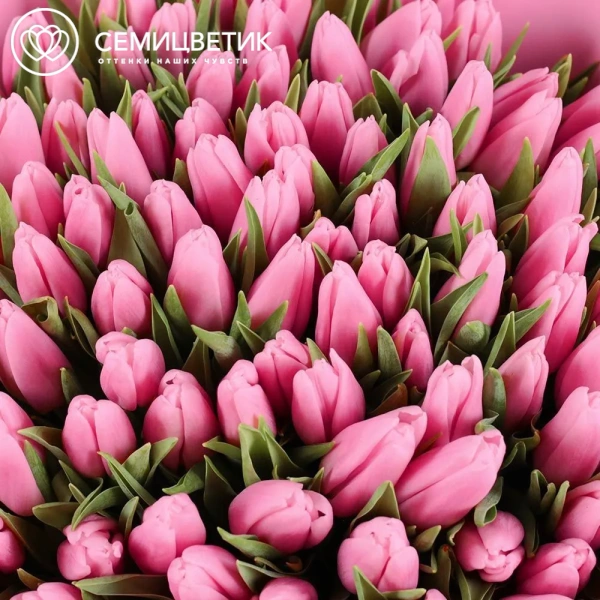 Букет из 101 розового тюльпана 40 см
