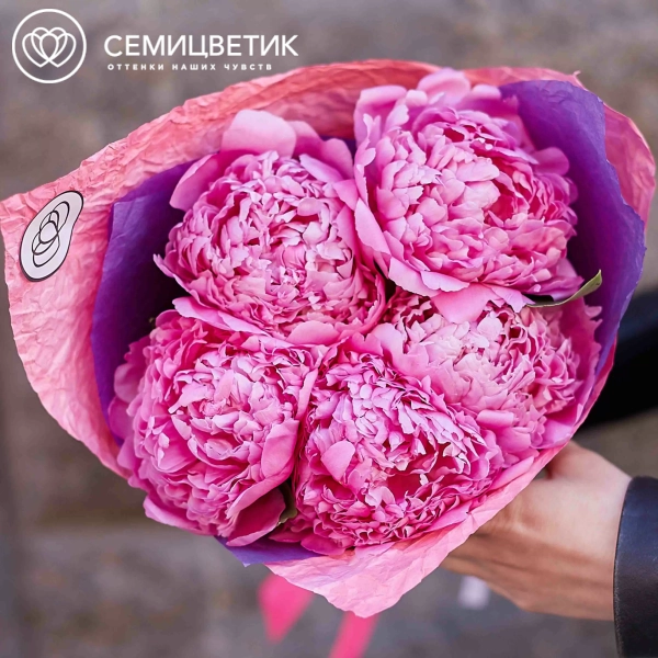 Букет из 5 ярко-розовых пионов Premium в розовой пленке