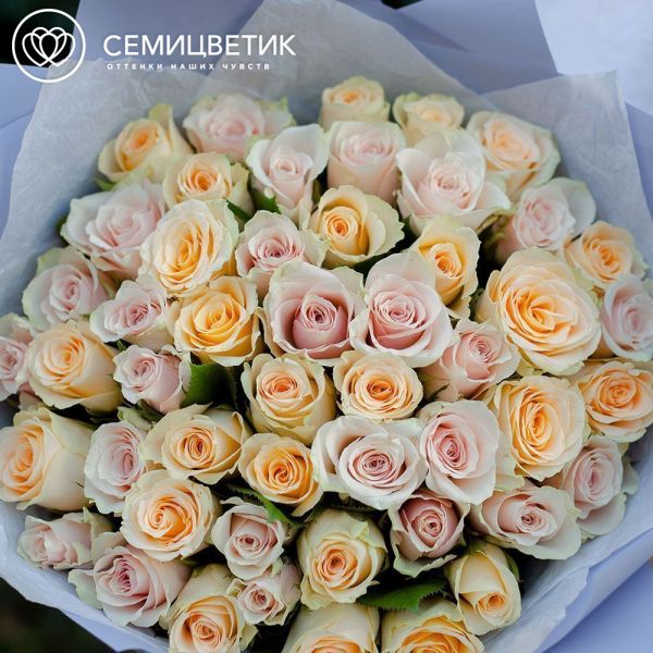 Букет из 51 кремовой и нежно-розовой розы 40 см (Кения) в сиреневой пленке