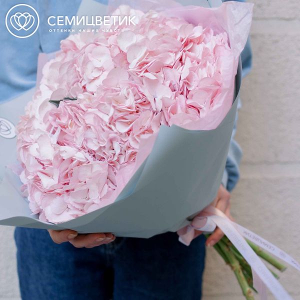 Букет из 7 розовых гортензий