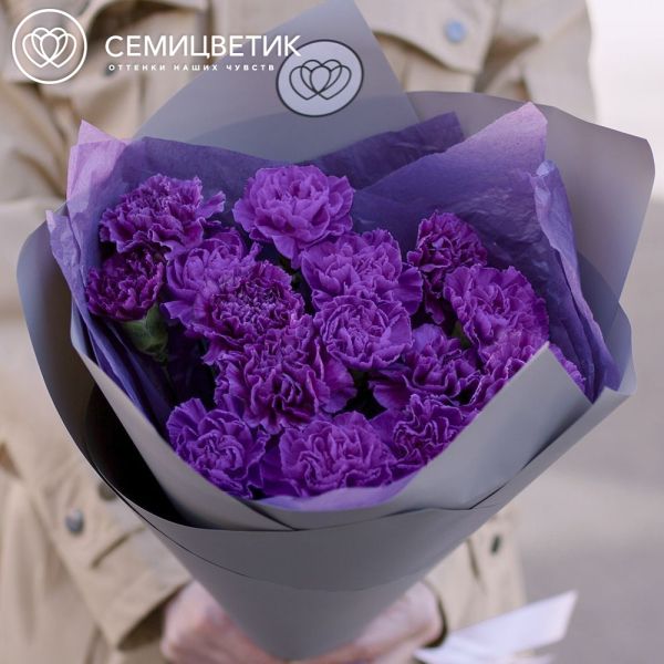 Букет из 15 фиолетовых гвоздик