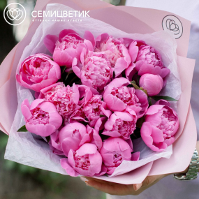 Букет из 15 ярко-розовых пионов Standart в розовой пленке