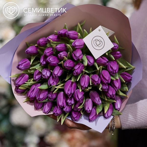Букет из 51 фиолетового тюльпана