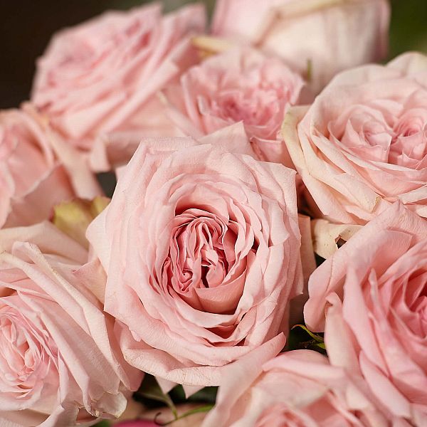 51 розовая одноголовая пионовидная роза 40 см Pink O'Hara