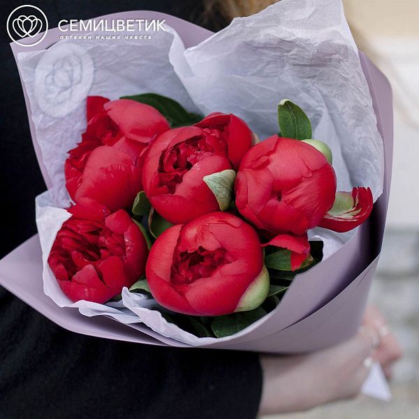Букет из 5 бордовых пионов Premium