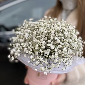 Коробочка с гипсофилой