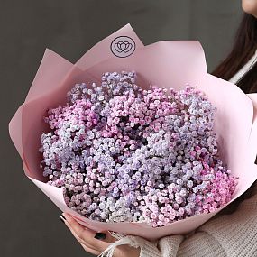 Букет из 11 сиреневых и розовых гипсофил в розовой пленке