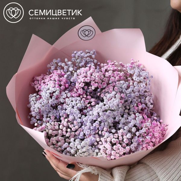 Букет из 11 сиреневых и розовых гипсофил в розовой пленке