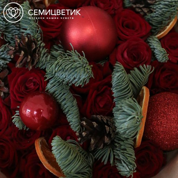 Букет из 25 красных роз 35-40 см (Россия) с елью и апельсином
