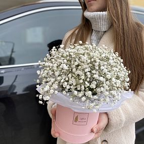Коробочка с гипсофилой