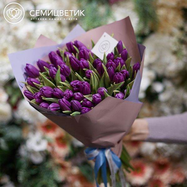 Букет из 51 фиолетового тюльпана
